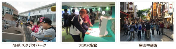 野田みどり会の11月のイベント