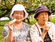 野田みどり会の新着情報1