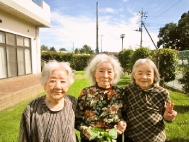野田みどり会の新着情報1