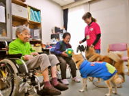 野田みどり会の新着情報1