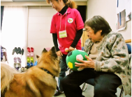 野田みどり会の新着情報1