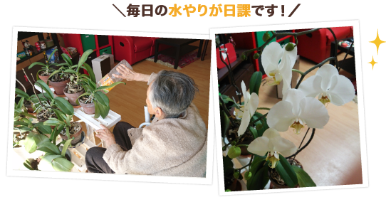 特別養護老人システム